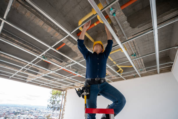 Best Plumbing Inspection Services  in Wheat Ridge, CO
